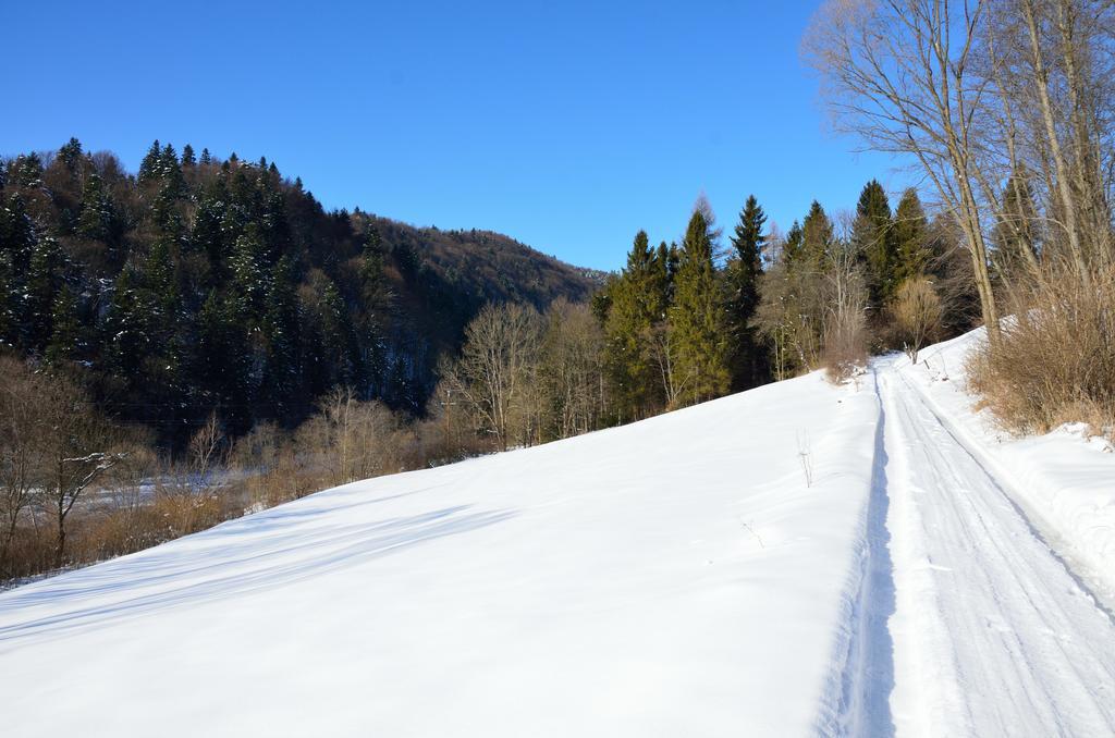 Schronisko Gorskie Nad Smolnikiem Smolnik  Kültér fotó
