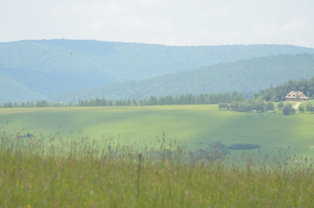 Schronisko Gorskie Nad Smolnikiem Smolnik  Kültér fotó